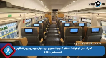 تعرف على توقيتات قطار تالجو السريع بين قبلي وبحري يوم الإثنين 4 أغسطس 2025